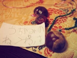 おら太シリーズ(3)どんぐり